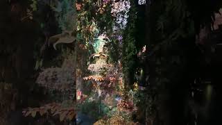 Geheime voetjes in Efteling droomvlucht 🧝‍♀️ [upl. by Kcirdorb]