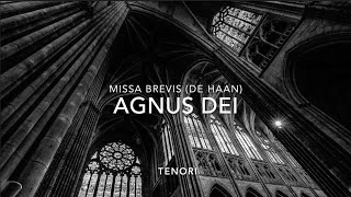 AGNUS DEI  TENORI  Missa Brevis De Haan Base musicale [upl. by Naida902]