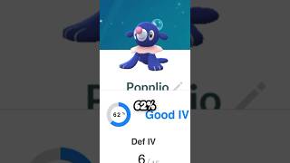 POPPLIO COMMUNITY DAY pokemongopvp pokemongoraids pokemongoevents pokemongocommunityday [upl. by Pavia]