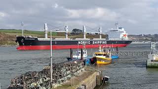 Shipping in Waterford estuary 🇮🇪 [upl. by Leamaj]