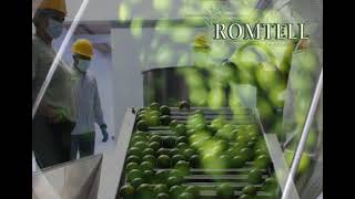 video promocional Romtell [upl. by Yblehs]