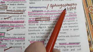 Sphingophospholipids  Glycolipids  Steroids  Lipid biochemistry Part 5 [upl. by Nosnej]