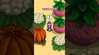 Grow Giant Crops On Your Farm in Stardew Valley stardew [upl. by Llebanna67]