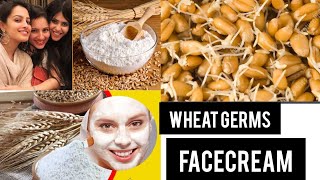 Homemade Face Maskcleansernightcream Wheat Germ Facial Mask for hair removal [upl. by Maltz944]