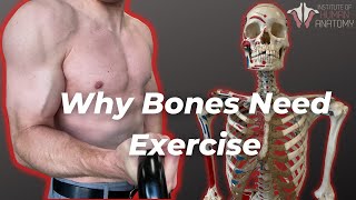 How Your Bones Change With Exercise [upl. by Tremayne807]