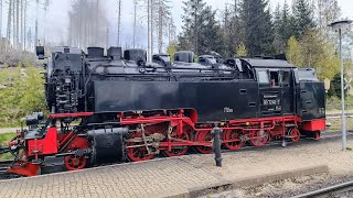 Schmalspurbahn Harz  2024  Historische Dampfloks Züge Brockenbahn Sachsen Anhalt  Deutschland [upl. by Youlton901]