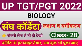 TGTPGT BIOLOGY 2022  CLASS 28  tgt pgt biology classes  tgt pgt biology online classes chordata [upl. by Naesyar]