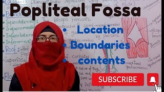 Popliteal Fossa  location  boundaries contents ayesha medical education [upl. by Yrennalf]