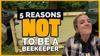 WATCH THIS Before You Start Beekeeping  Beekeeping 101 beekeeping [upl. by Soneson13]