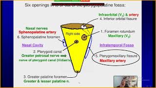 perineural tumor spread in ped head and neck cancer FOR ALEX [upl. by Nyrrat518]