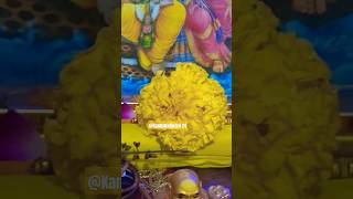 Devuthni ekadashi special 2024ShortsekadashiLaddogopal shorts Kanhakidiwani 24🚩❤️❤️❤️ [upl. by Aisenet]