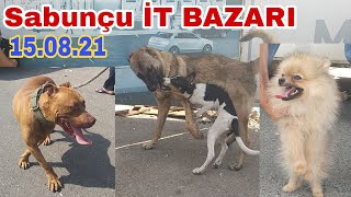 Sabunçu it bazarı 15082021 sabuncuitbazarı [upl. by Oiruam422]