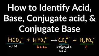 How to Identify Acid Base Conjugate Acid and Conjugate Base Examples and Practice Problems [upl. by Aoket]