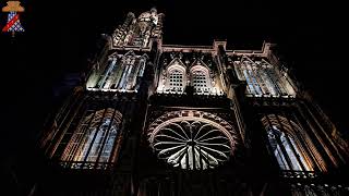 Cloches  Bells  Strasbourg 67 Cathédrale NotreDame  Petits Bourdons Si♭2  Do♭3 [upl. by Cristine]