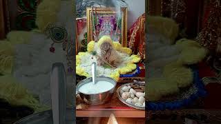 🙏 Jai shri krishna🌹shorts shortsviral shortvideo [upl. by Jone]