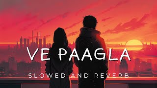 ve paagla tere piche pagal hoi lofi song  ve paagla  slowed and reverb  instagram trending song [upl. by Gretchen943]