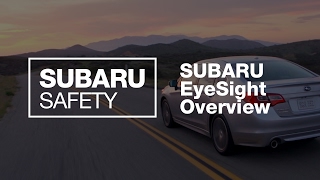 What Makes a Subaru Safe 2017 Updated Features [upl. by Anaytat]