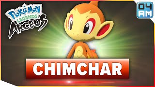 Where To Find CHIMCHAR amp How To Catch It in Pokemon Legends Arceus [upl. by Hcirteid]