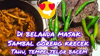 MASAK SAMBAL GORENG KRECEK DAN TAHUTEMPETELOR BACEM DI BELANDA CUACA DINGIN PASTI LEKKER YUMMY [upl. by Onihc]