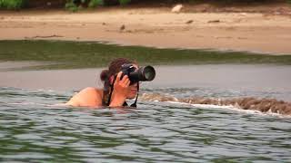 Wildlife photography different  Living Zoology and shorebirds in Costa Rica [upl. by Nesahc354]