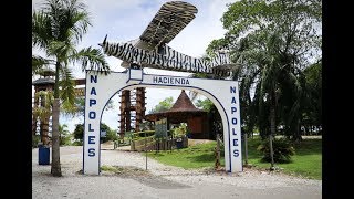 Hacienda Napoles is a theme park on the land of Pablo Escobars former estate in Colombia [upl. by Karlyn393]