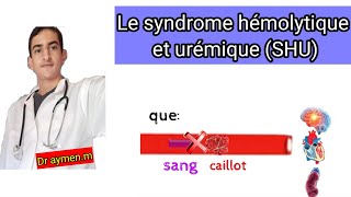 Le syndrome hémolytique et urémique SHU [upl. by Castorina]