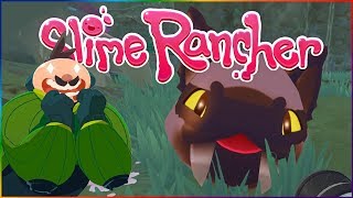 SLIME RANCHER OGDENS WILD UPDATE  Saber Slimes Kookadoba amp Wilds Overview [upl. by Wessling68]