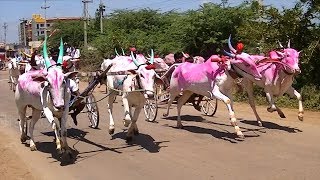 Kudubandi bullock cart race at Yadawad [upl. by Oiramal]