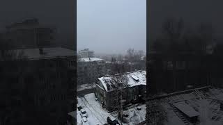 Arkhangelsk winter start 🥶⛄️snow snowfall архангельск shortvideo shorts short [upl. by Ymaj]