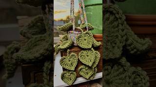 🌿crochet plants last forever✨🪴 confetti string of hearts plant 🌱 [upl. by Adnar884]