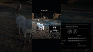 RDR2 • All Arabian Horse Colors and Locations Part I • Red Dead Redemption 2 [upl. by Ches]