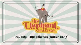 Your Market and Setting Up Your Business  Elephant Challenge Day 1 922 [upl. by Nikolas526]