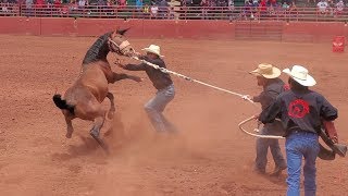 Wild Horse Race 2019 Mescalero Apache Tribal Rodeo [upl. by Eriha402]