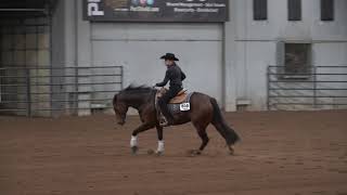 Rowdy Challenger ridden by Michelle Portolese  Bridleless Score 725 Aug 2019 [upl. by Gavette]