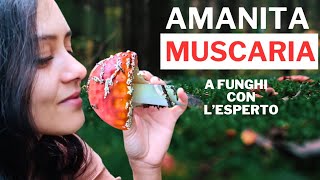 AMANITA MUSCARIA  Cosa devi sapere  Episodio 3 [upl. by Oleg]