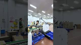 How To Use ZSMD20A Automatic Robotic Palletizer Machine [upl. by Anavas985]