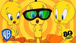 Looney Tunes  2022 The Year of Tweety 💛  WB Kids [upl. by Criswell]