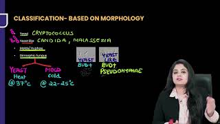 Mycology Microbiology Rapid Revision For FMGE amp NEET PG By Dr Preeti Sharma [upl. by Stafford820]