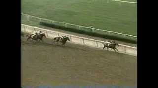 Caveat  1983 Belmont Stakes [upl. by Feledy417]