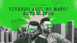 Ícaro e Gilmar  Vivendo aqui no mato Estrelinha SextouBB [upl. by Alodi513]