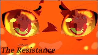 Warrior Cats Tribute  The Resistance [upl. by Ellenhoj891]