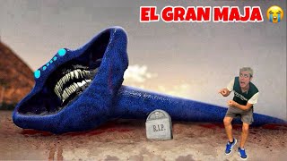 EL GRAN MAJA È MORTO…💀😢 MOSTRO MARINO [upl. by Alitta377]