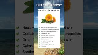 Health Benefits of Calendula [upl. by Reiche]