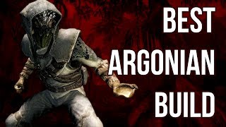 The Wanderer  Best Argonian Build  Skyrim Builds [upl. by Edyaw395]