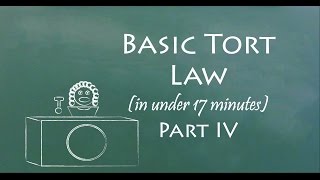 Understand Tort Law in 17 Minutes Part IV [upl. by Hgeilyak]