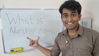 Learn What is Adenohypophysis   Adenohypophysis  The Hormone Factory of the brain in Biology [upl. by As335]