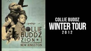 Collie Buddz  I Feel So Good Official Audio [upl. by Helman895]