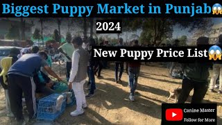 Cheapest Puppy Market in Punjab  Dogs Price List 2024 petlovers cheapestmarket [upl. by Forta509]