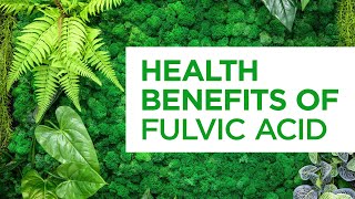 Fulvic Acid Explained Why Our Bodies Need Natural Compounds [upl. by Ecirtael]