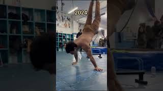 PLANCHE TRANSFORMATION2016  2024🔥 planche calisthenics transformation streetworkout [upl. by Enimisaj811]